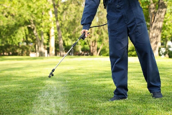 fraleigh lawn care services with pest prevention photo of lawn