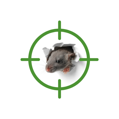 fraleigh rat rodent mouse pest control